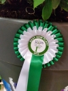 Best New Plant 2015 - 23rd July 2015