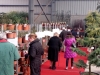Spring Show 2015 Recap - 19th February 2015